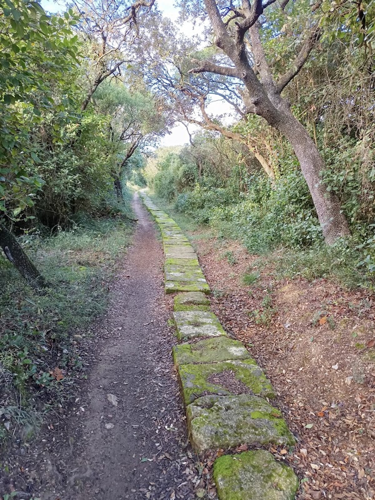 Chemin sinueux s'ouvrant vers la lumière, symbole du cheminement intérieur